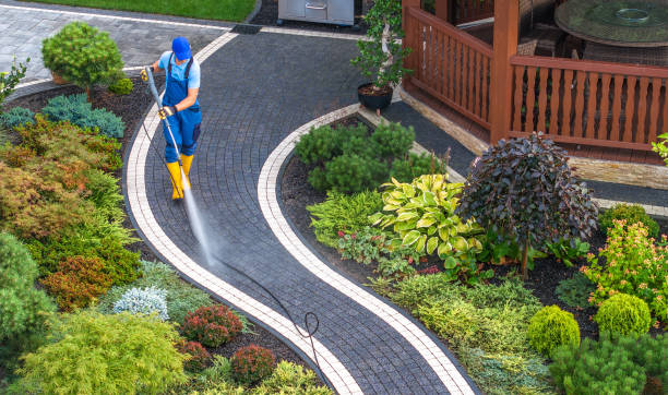 Best Roof Pressure Washing  in Canfield, OH